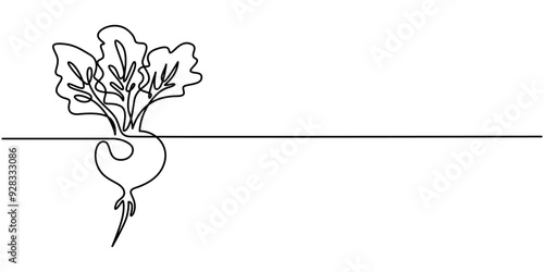 Beetroot in continuous line art drawing style. Garden beet black linear sketch isolated on white background. Vector illustration, Beetroot with Leaves. Woodcut radish or beets. beet vegetable cartoon