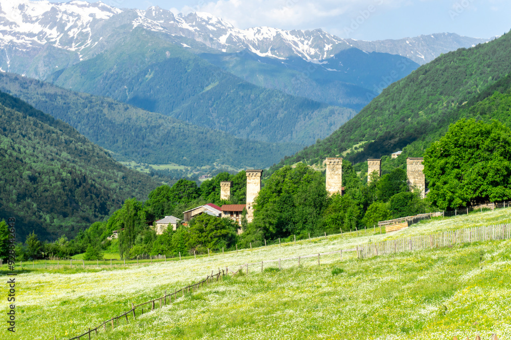 Fototapeta premium Medieval defensive stone towers with loopholes in the village. Field with white flowers. Hills covered with trees and high snow capped mountains
