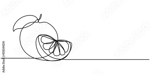 Continuous one line drawing of Orange Fruit with leaf. slice of orange fruit hand drawn single line art vector illustration, Continuous Line Drawing Of Lemon Fruit Branch with Leaves Black Sketch