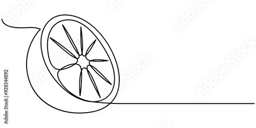 Continuous one line drawing of Orange Fruit with leaf. slice of orange fruit hand drawn single line art vector illustration, Continuous Line Drawing Of Lemon Fruit Branch with Leaves Black Sketch