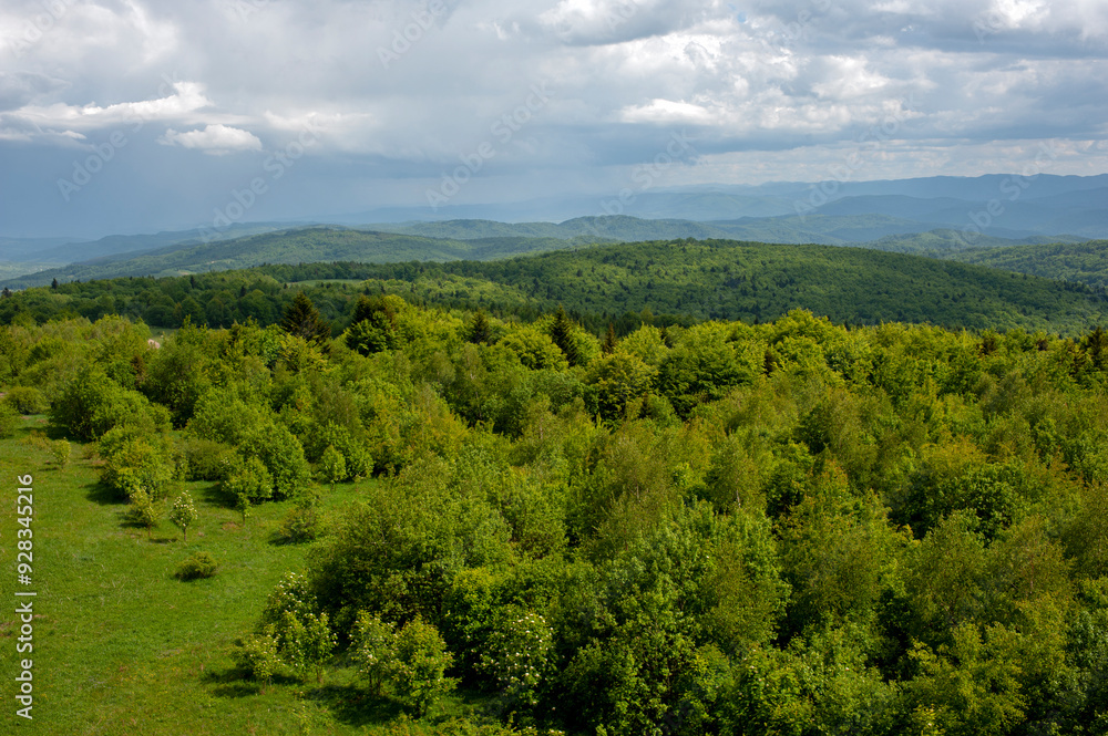Peaks of mountain range and high forest in summer evening with green horizon and low altitude. Peaks of mountain range and high forest in summer evening with green horizon and low altitude.