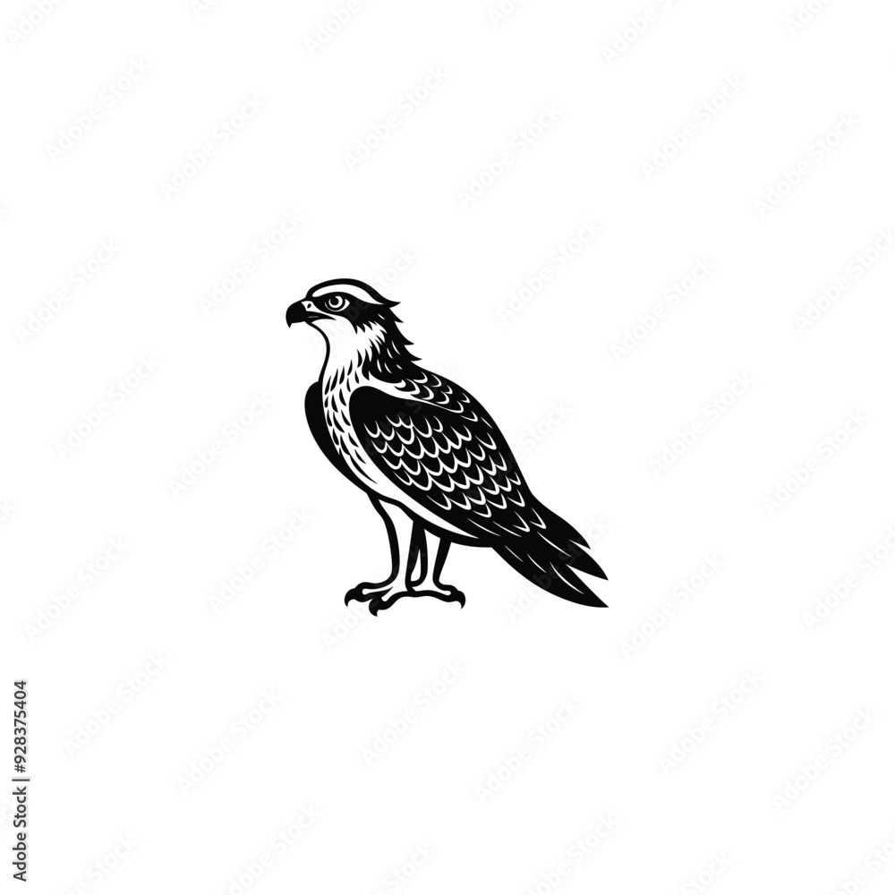 osprey osprey
