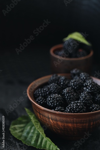 black and juicy blackberry berry