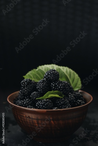 black and juicy blackberry berry