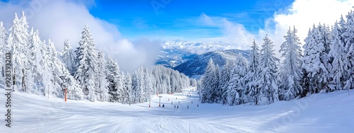 A ski slope with pine trees and skiers on it, a snowy landscape scene, a wide angle photo, a high resolution image, a blue sky, ski tracks in the snow, a snow covered forest, a photo taken from above,