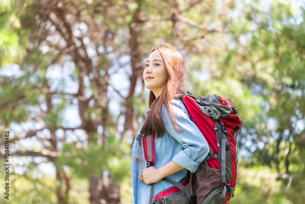 Woman Hikers Admiring and Forest walk and camping adventures Woman Hikers Admiring and Forest walk and camping adventures