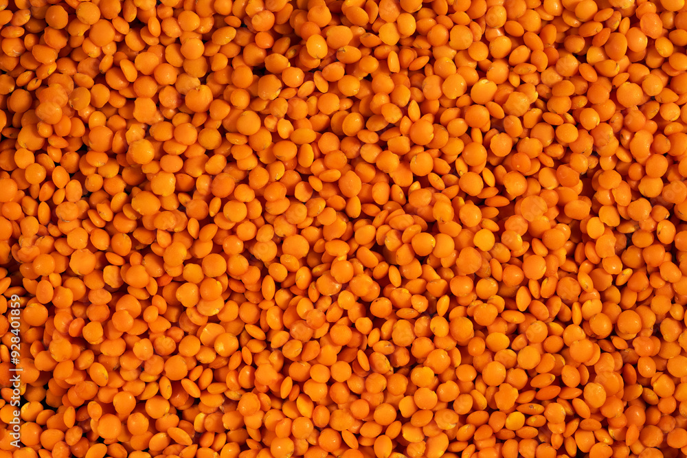 Red lentils texture background. Dry orange lentil grains pattern, dal wallpaper, raw daal with copy space, dhal, masoor, Red lentils texture background. Dry orange lentil grains pattern, dal wallpaper, raw daal with copy space, dhal, masoor,