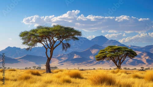 Two trees stand in a field of yellow grass, with mountains in the background