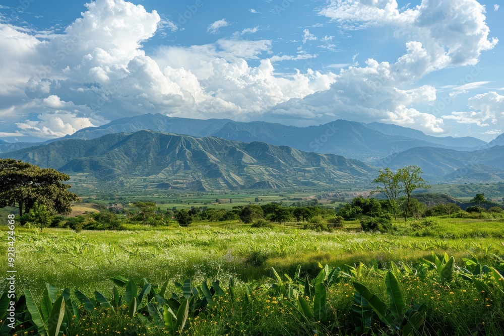 Obraz premium Rural scenery by mountains