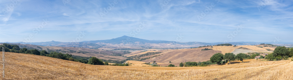 Fototapeta premium Val D'Orcia, Tuscany, Italy. Amazing landscape of the agricultural fields with gold and yellow colors. Earth's line. A perspective of the ground's colors and shapes