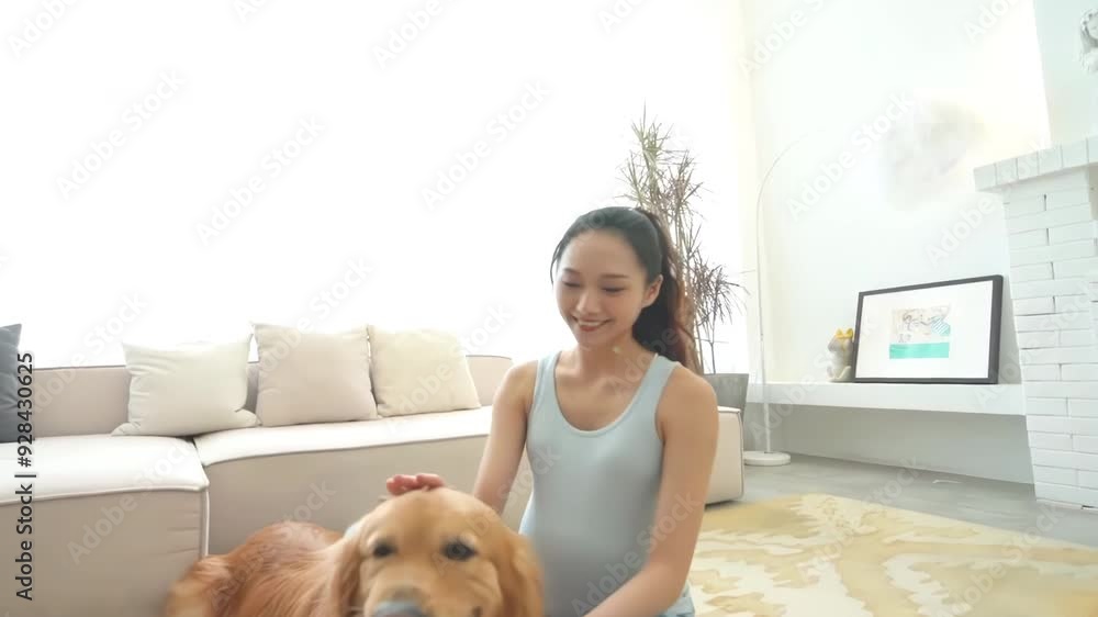 Portrait of cute dog lying on the gray couch sticking out tongue in living room at home near girl woman reading book shakes hands, happy golden retriever resting near window, modern house interior Portrait of cute dog lying on the gray couch sticking out tongue in living room at home near girl woman reading book shakes hands, happy golden retriever resting near window, modern house interior