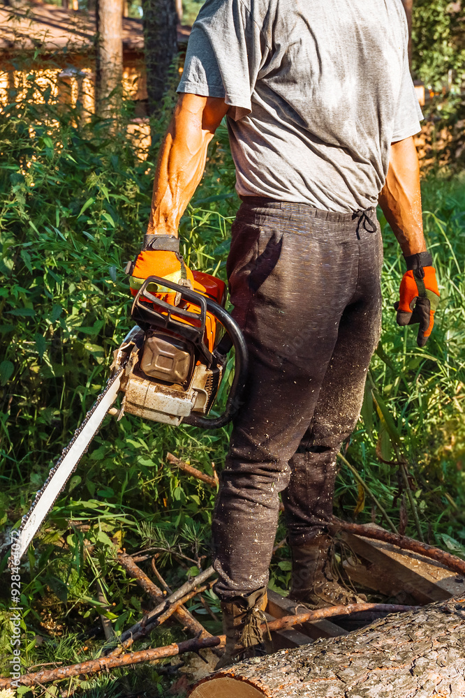 A lumberjack with a chainsaw is prepared to trim a tree.