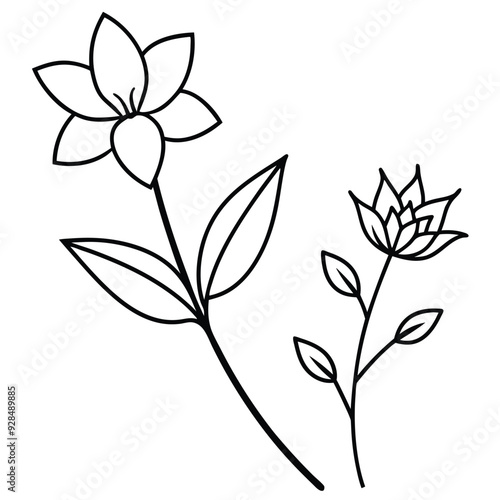 Charming Flower Corner – Detailed Line Art & Colorful Silhouette Vector Illustration.