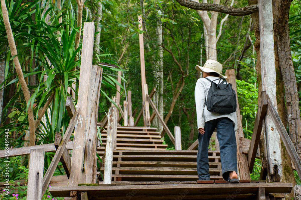 Back view of a hiker man walking on wooden stair to climb mountain with beautiful forest in the background, children with backpack and hiking hat walking up mountain, concept of travel and adventure. Back view of a hiker man walking on wooden stair to climb mountain with beautiful forest in the background, children with backpack and hiking hat walking up mountain, concept of travel and adventure.