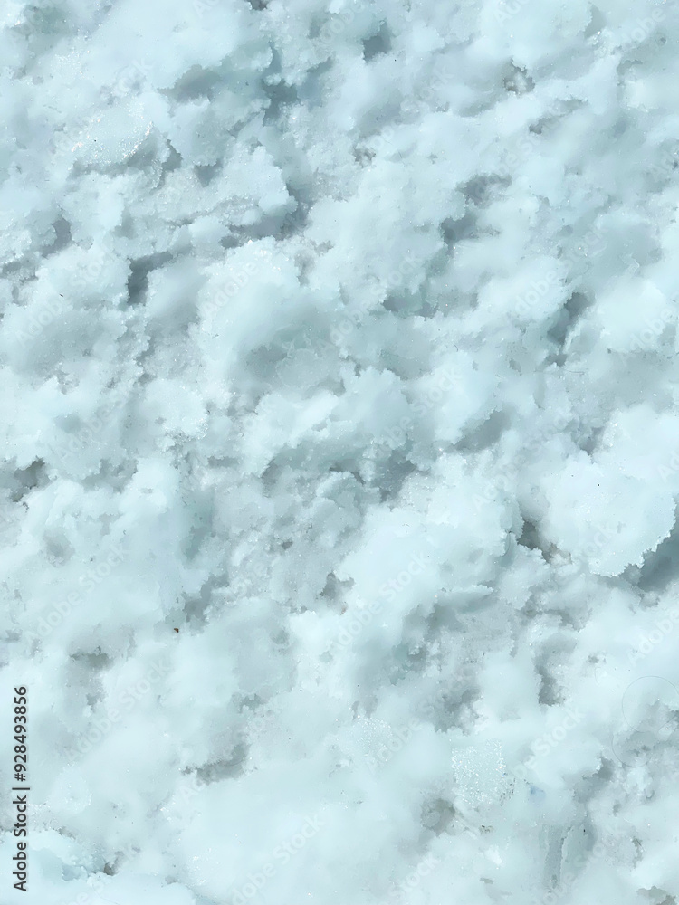 The surface of the salt marsh with a natural intricate pattern. Salinas Grandes, Jujuy province, Argentina The surface of the salt marsh with a natural intricate pattern. Salinas Grandes, Jujuy province, Argentina