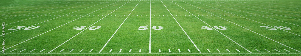 American football field 