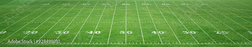 American football field 