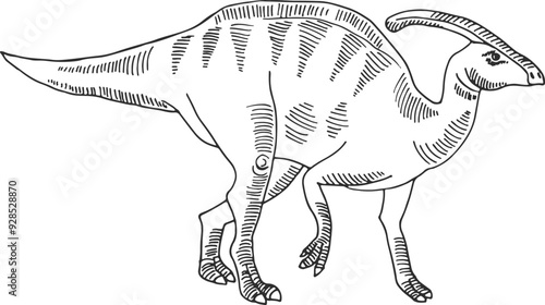 Parasaurolophus drawing. Ancient predator. Prehistoric reptile sketch