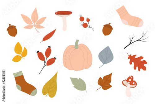Set of autumn elements. Leaves, pumpkin, mushrooms, acorns, berries