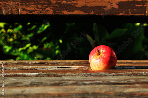 Ripe red apple on the old wooden bench under the sunlight, autumn rural landscape