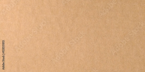 Recycling brown cardboard texture. Brown paper text space. 