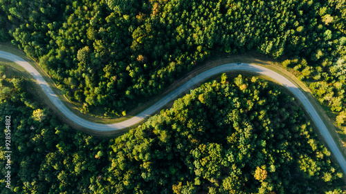 Aerial top view of green trees along with twisted road
