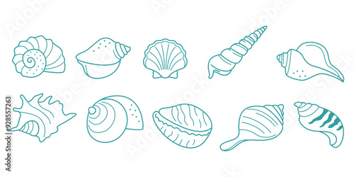 Shell Stock Line Illustration