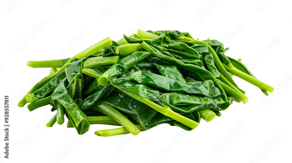 Just-picked chinese water spinach, also called morning glory, shown against a clear background to showcase its bright green hue and crispness Just-picked chinese water spinach, also called morning glory, shown against a clear background to showcase its bright green hue and crispness