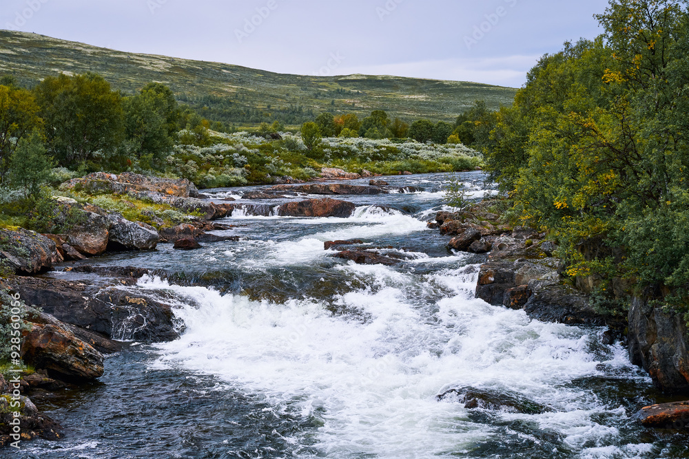 Obraz premium Einunna River by Klemetbrua Bridge from Einunndalen Valley, Norway's longest summer farm valley or 
