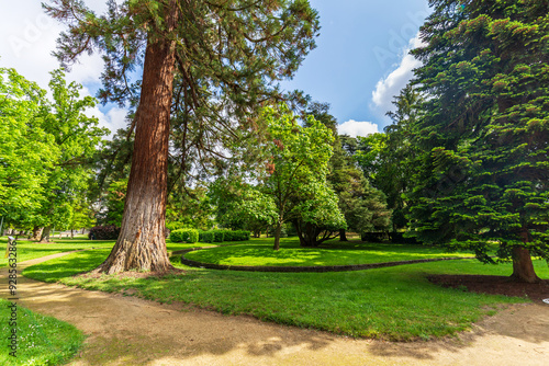 A serene pathway meandering through a lush park filled with tall trees in Montargis, France