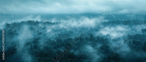 Creepy Fog Blanketing Mystery Landscape - Perfect for Suspense Themes