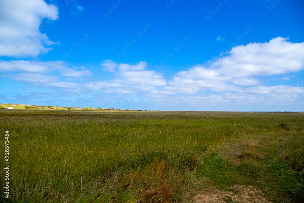 Wide landscape on the coast of Denmark with dunes in the background Wide landscape on the coast of Denmark with dunes in the background