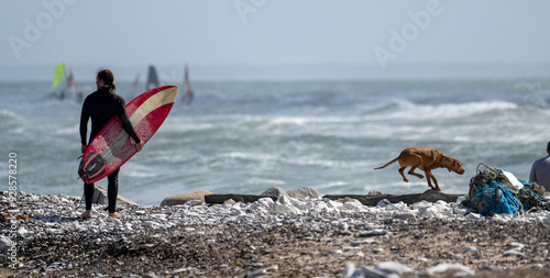 surfers on the Beach, Dog, Denmark, Hanstholm  photo