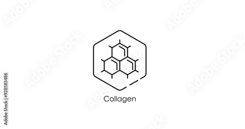 Collagen Protein Structure Vector Illustration Icon