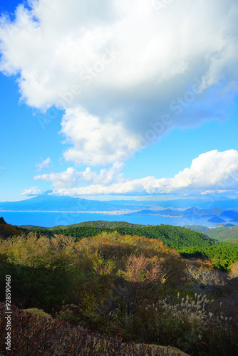 富士山 静岡県伊豆市 だるま山高原レストハウス 