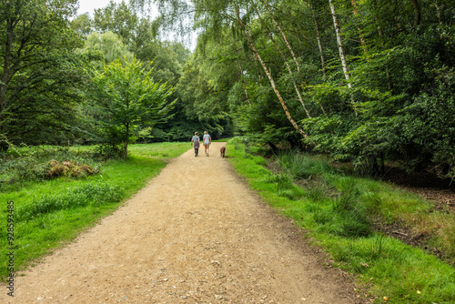A couple and a dog walking on the main path at Epping forest near Loughton.