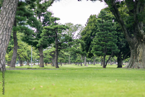 Photography Forest in Tokyo