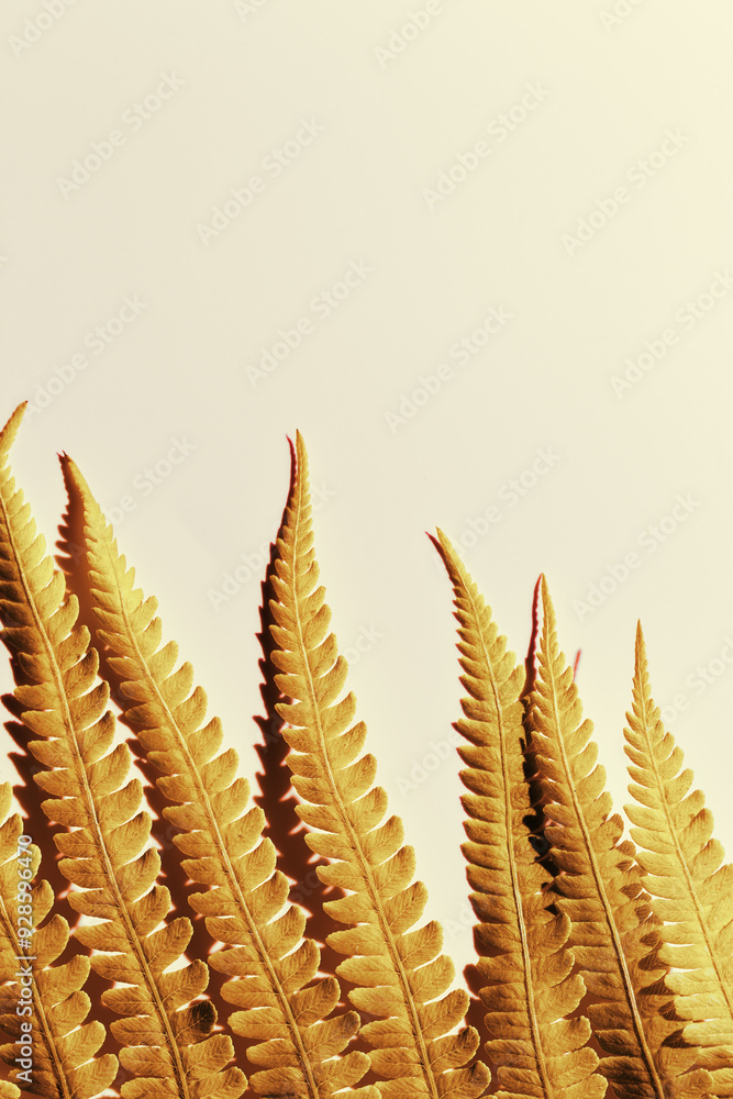 Golden Fern Leaf as natural background, closeup autumn texture, minimal botanical pattern, top view shiny gold leaves at sunlight with aesthetic organic shapes, warm color, nature pattern Golden Fern Leaf as natural background, closeup autumn texture, minimal botanical pattern, top view shiny gold leaves at sunlight with aesthetic organic shapes, warm color, nature pattern