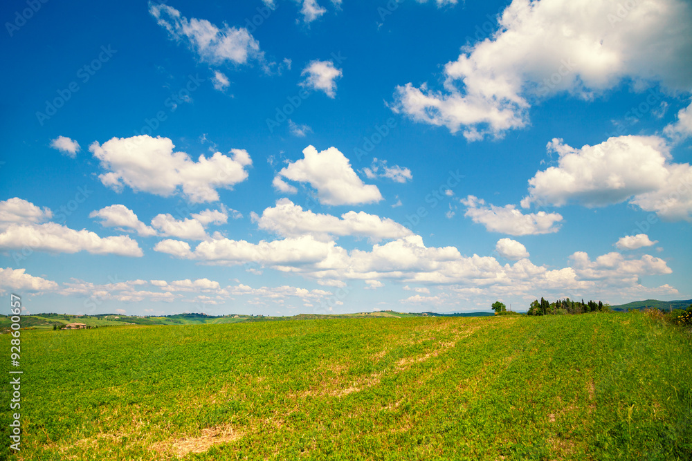 The picturesque landscape of Tuscany. Spring nature with blue sky and beautiful clouds. Grassed rolling fields The picturesque landscape of Tuscany. Spring nature with blue sky and beautiful clouds. Grassed rolling fields