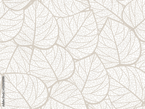 Seamless white and grey floral background with leaves. Hand drawn minimal abstract organic shapes pattern. Vector white abstact pattern with grey leaves. photo