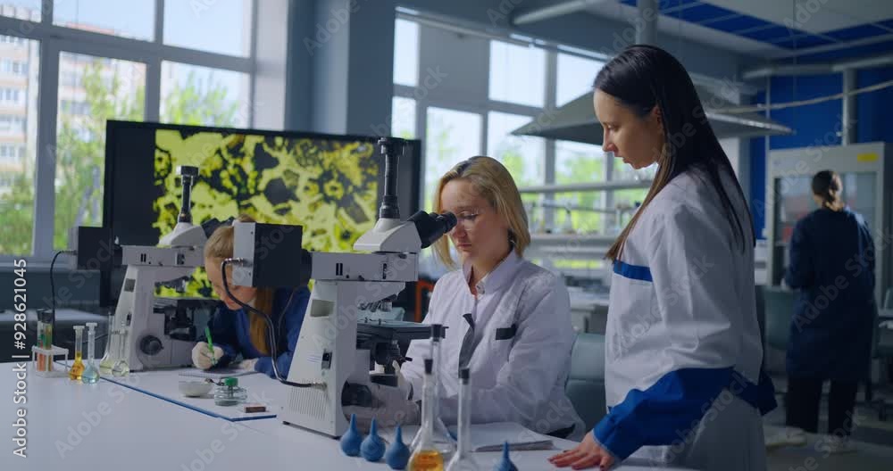 Pupils In Chemical Laboratory In School, Smart Teen Girls Learning Chemistry, Future Scientists Pupils In Chemical Laboratory In School, Smart Teen Girls Learning Chemistry, Future Scientists