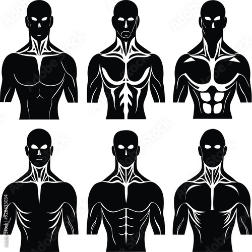 Body Builder Outline Silhouette Graphics Collection