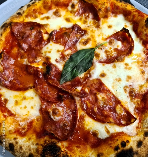 evocative image of a pizza made with spicy salami, 
tomato sauce, mozzarella and onions ready to be savored