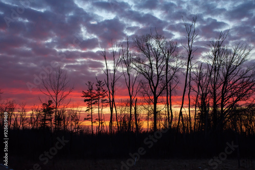 Sunrise at Saunders Pond 04