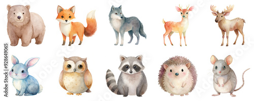 Cute woodland animals in watercolor illustration set. Collection featuring a variety of charming forest creatures isolated on transparent background.