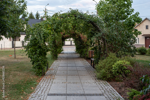 Tunnel of green plants in a city park