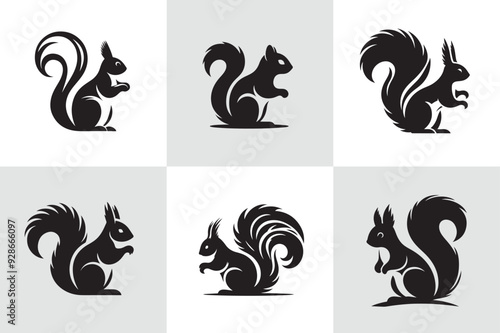 Squirrel vector