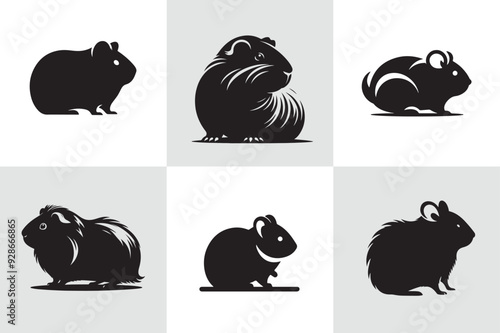Guinea pig vector