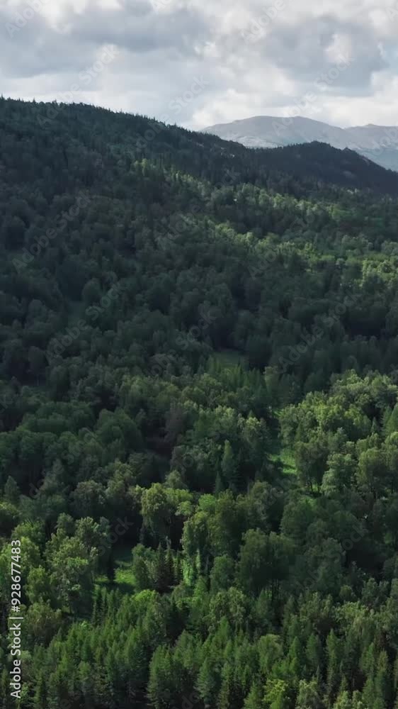 Aerial view of mountain during summer Aerial view of mountain during summer