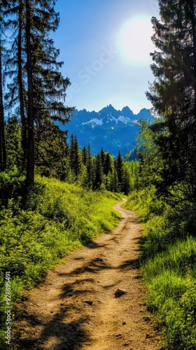 A serene hiking trail surrounded by lush greenery and towering mountains under a bright sun, perfect for nature lovers.